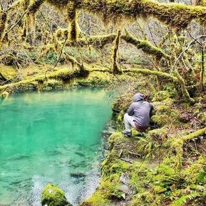 Meet your Posher, Shawn